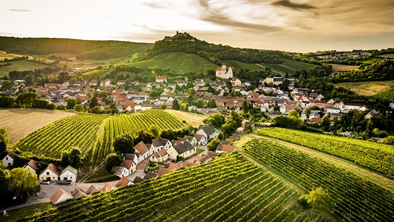 Weinerlebnis Falkenstein, © Niederösterreich Werbung/Robert Herbst Weinviertler Landschaft