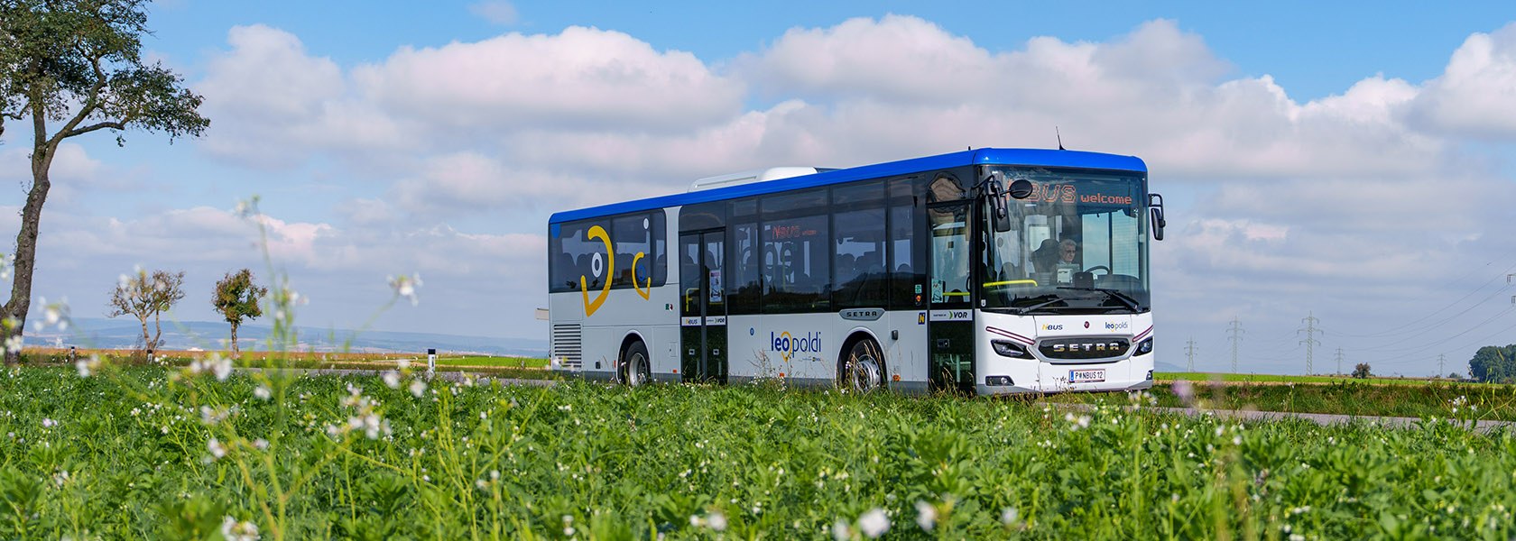 Niederösterrichs Regionalverkehr, © NÖVOG/Bollwein LEOpoldi Linienbus auf Landstraße, umgeben von grünen Wiesen und blühenden Pflanzen unter blauem Himmel mit Wolken.