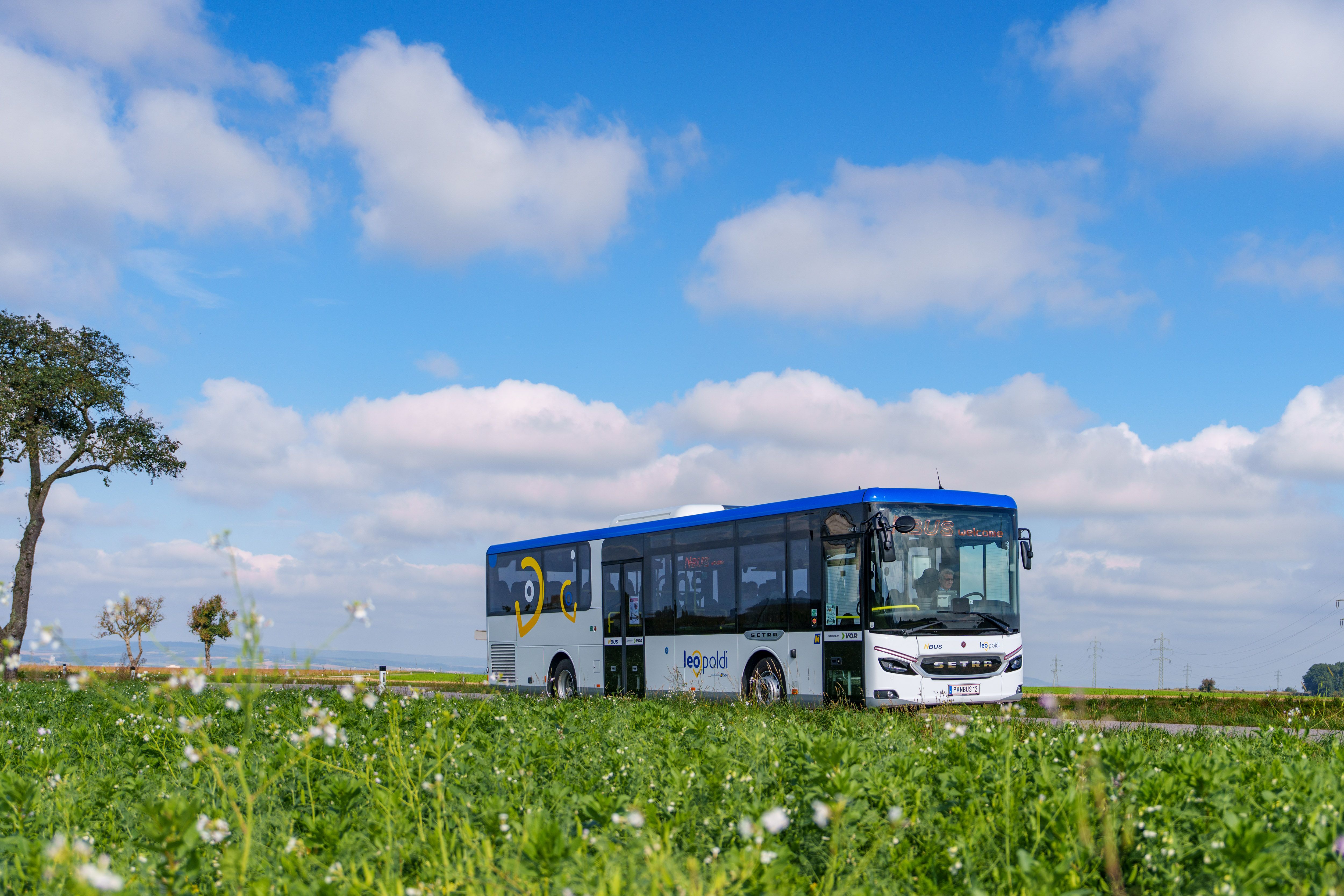 Weiß-blauer Leopoldi Linienbus fährt an einer Wiese mit weißen Blüten vorbei.