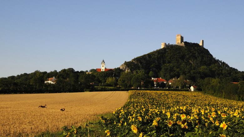 Burgruine Staatz, &copy; Weinviertel Tourismus /Mandl