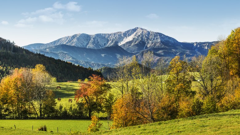 Herbstlandschaft mit Berg im Hintergrund