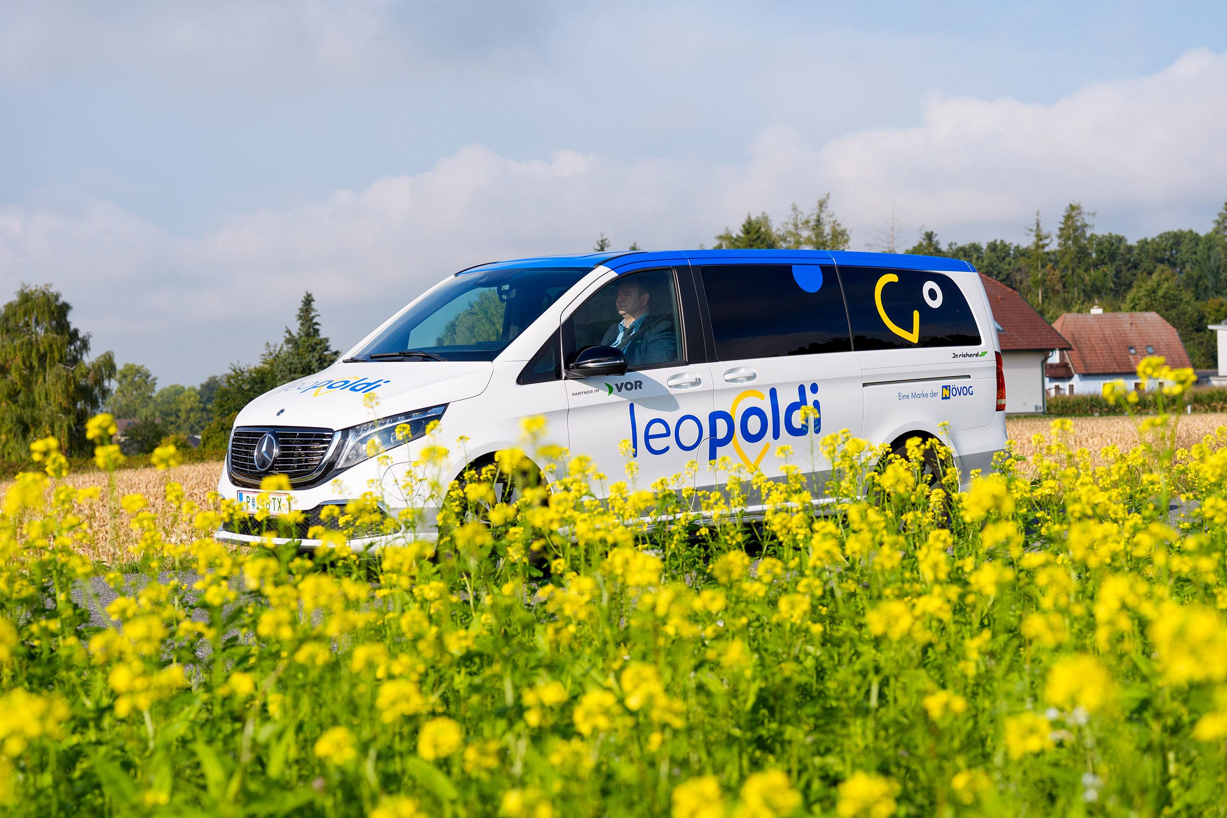 Weißer Leopoldi Kleinbus fährt an einem Feld mit gelben Blüten vorbei.