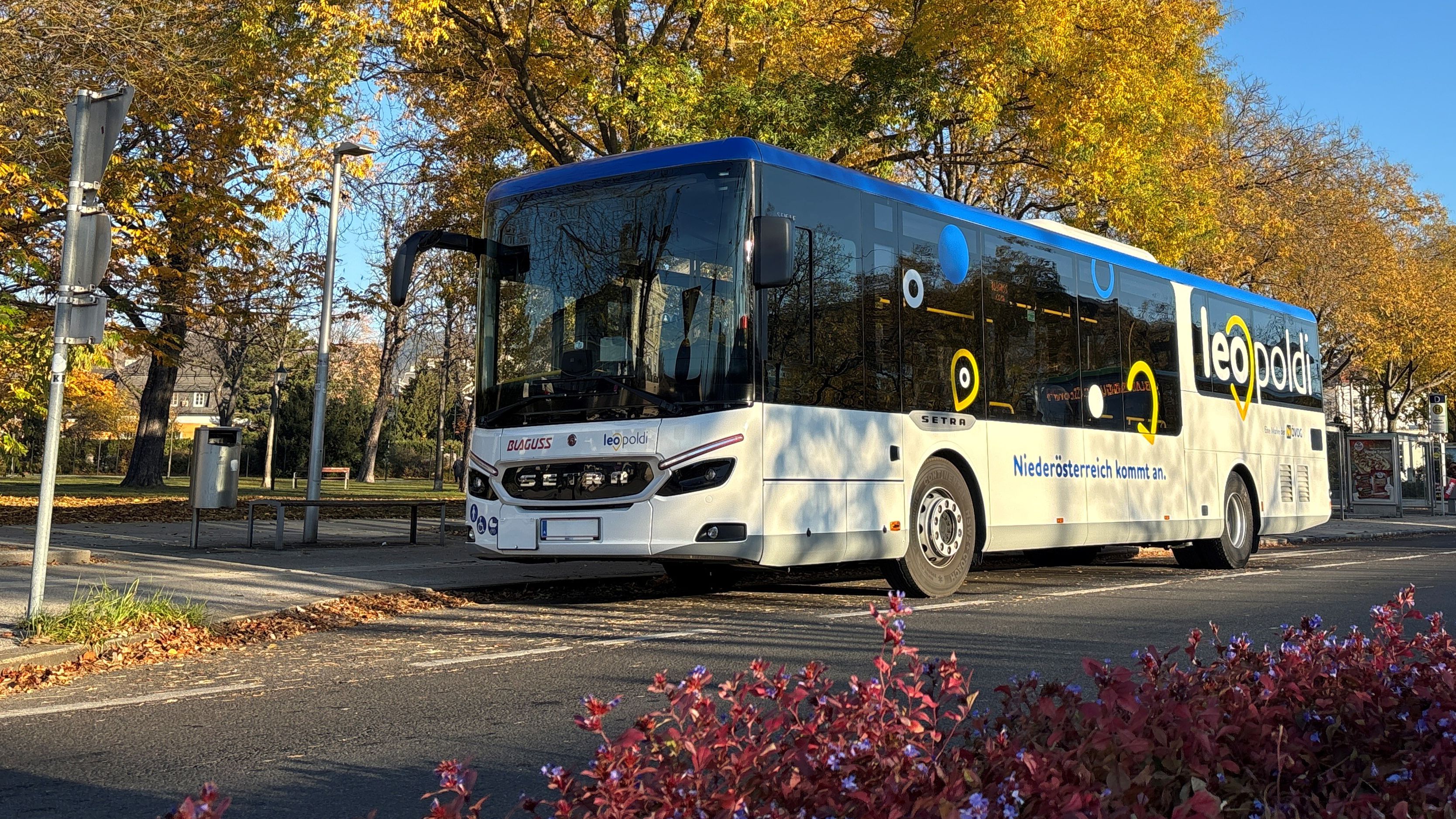 leopoldi Bus im Herbst