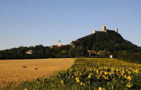 Burgruine Staatz, &copy; Weinviertel Tourismus /Mandl