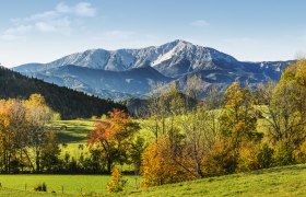 Herbstlandschaft mit Berg im Hintergrund